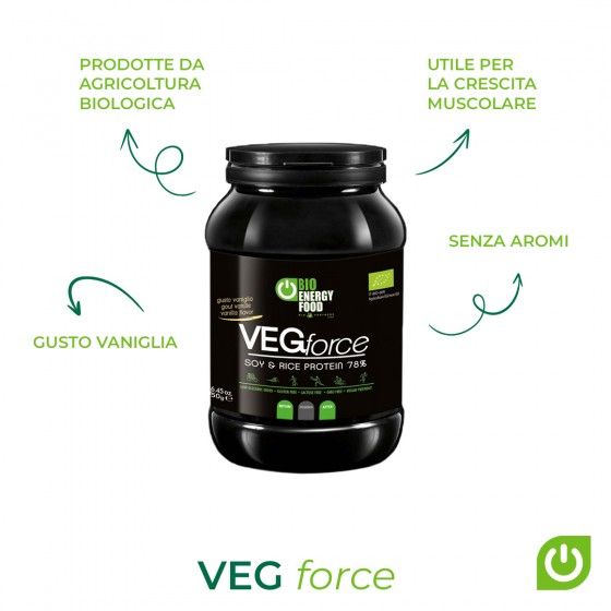 Veg Force : Organic vegan protein (750g)